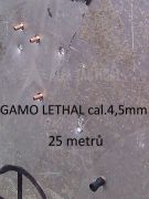 1377426241-gamo-lethal-45mm-3.jpg 1377426241-gamo-lethal-45mm-3.jpg