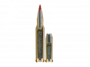 1614853769-1410994732-custom-ammunition-cutaways-rifle-and-handgun.2424a079.png