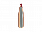 1614873709-1410991495-eld-match-bullet-illustration-cutaway.175dd3e4.png