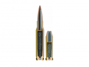 1615206372-1410994733-american-gunner-ammunition-cutaways-rifle-and-pistol.90a1a4dd.png