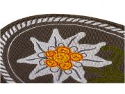 1643817195-edelweiss-patch-oval-color-cg27299large3.jpg