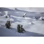 196488-mp-13008-ca-71618-2.webp 196488-mp-13008-ca-71618-2.webp