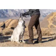 2112-sierraadventures-04887-67791-21.webp 2112-sierraadventures-04887-67791-21.webp