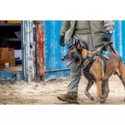 2221-hanford-jj-0533.webp 2221-hanford-jj-0533.webp