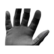 379f674c8263f154f14d06e6b4ac365c.webp