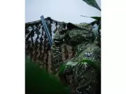 672501686063458-nepojmenovane.webp