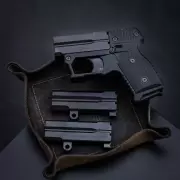 71297wolfsight-225-img-6281.webp