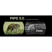 7745111-pips.webp