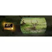 774514-4k.webp