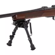 ff34023-gun.webp