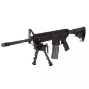 ff34023-gun2.webp