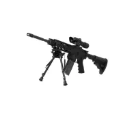 ff34024-img-gun3-1000-800x.webp