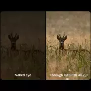 habrok-4k-2.0-vivid-images-at-twilight-m.webp