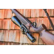 medium-dsc-4596cz.webp medium-dsc-4596cz.webp