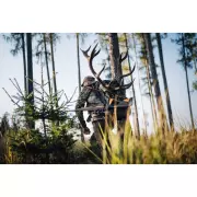 medium-dsc1625.webp medium-dsc1625.webp