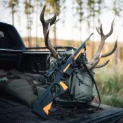 medium-dsc1869.webp medium-dsc1869.webp