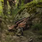 medium-p1138258-2.webp medium-p1138258-2.webp