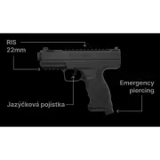 pp-3.jpg.webp pp-3.jpg.webp