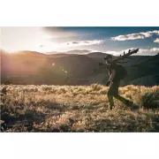 q220-dsc-9073.webp q220-dsc-9073.webp