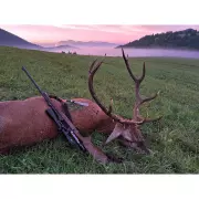 vabnicka-tetrao-rujna-jelenica-uspech-1-.webp vabnicka-tetrao-rujna-jelenica-uspech-1-.webp