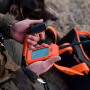 vyhledavaci-zarizeni-dog-gps-x30t-mi001-2345.webp vyhledavaci-zarizeni-dog-gps-x30t-mi001-2345.webp