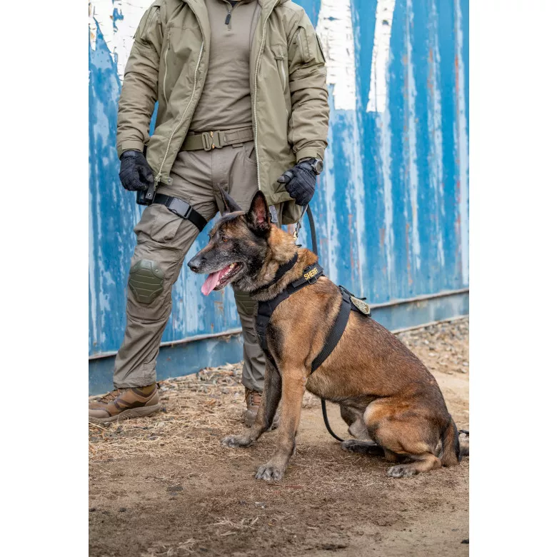 kliknutít zobrazíte maximální velikost obrázku kliknutít zobrazíte maximální velikost obrázku