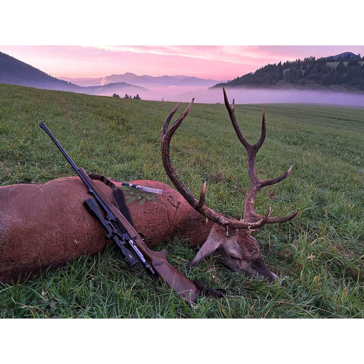 kliknutít zobrazíte maximální velikost obrázku kliknutít zobrazíte maximální velikost obrázku